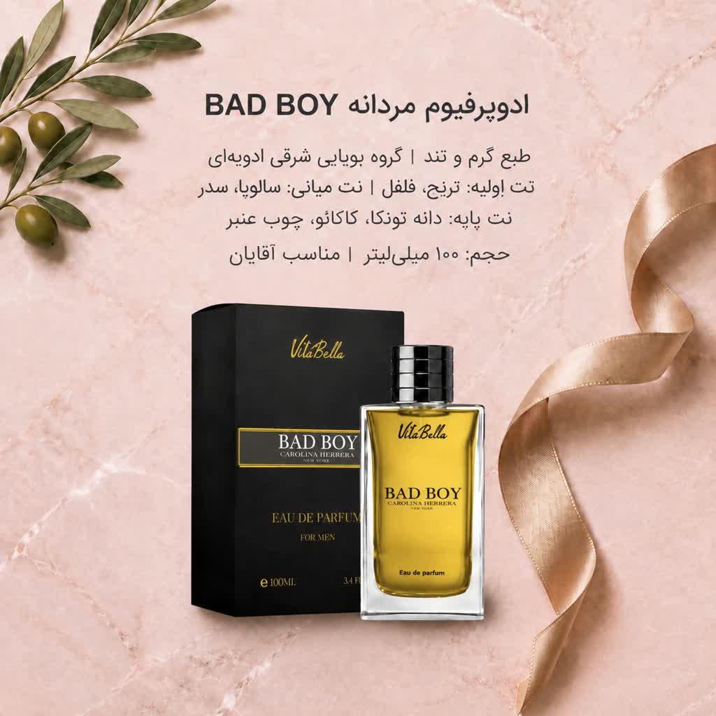 ادوپرفیوم مردانه  100ml  BAD BOY
